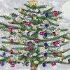 CLICK ON IMAGE TO PREVIEW