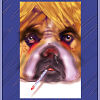 CLICK ON IMAGE TO PREVIEW