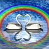 CLICK ON IMAGE TO PREVIEW