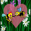 CLICK ON IMAGE TO PREVIEW